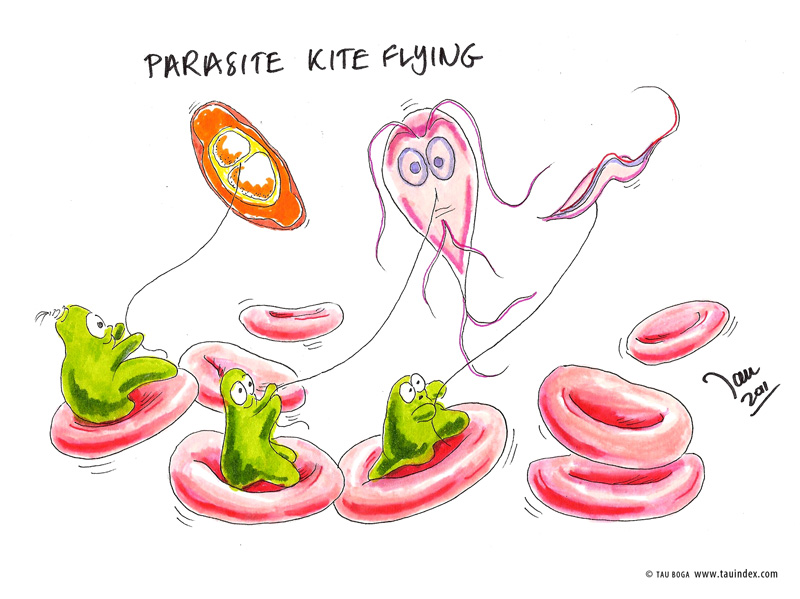 parasite-kites-tau-boga