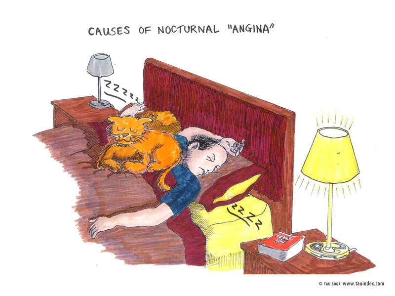 nocturnal-angina-tau-boga