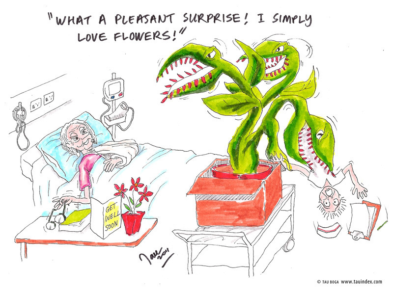 plant-tau-boga