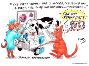 5-bovine-gastroscop#2D0001
