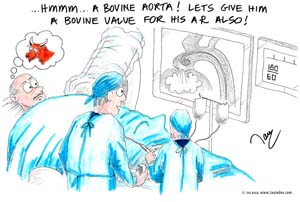 5-cardio-bovine-aorta