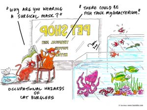 mycobacterium-marin#2D0001