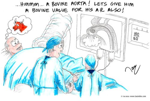 bovine-aorta-card#300001