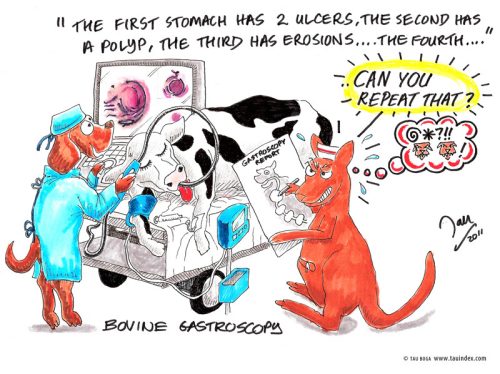 bovine-gastroscop#2D0001