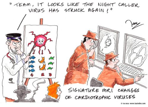 cardiotrophic-vir#3B0001