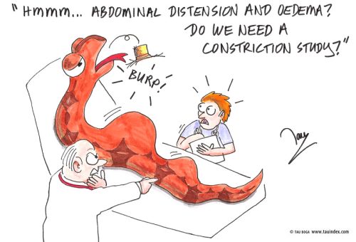 construction-tau-boga