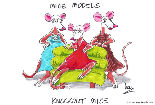 knockout-mice-genmed