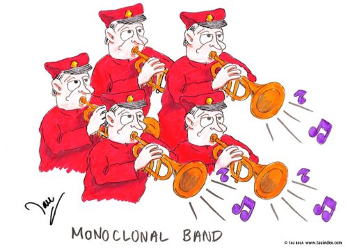 monoclonal-band-gen-med