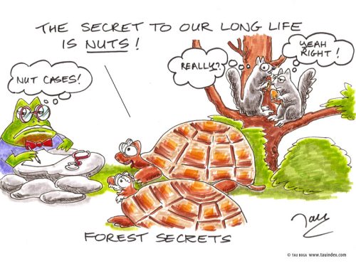 nuts-genmed-tauboga