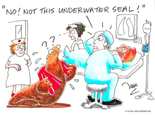 seal-surg