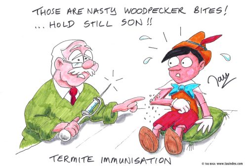 termite-genmed-tauboga